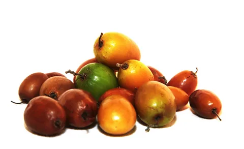 What Is Jujube Fruit? Nutrition, Benefits, and Uses