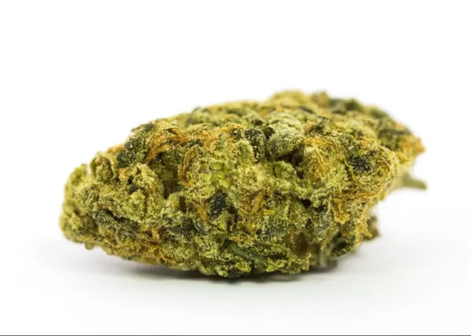 Lemon Oasis Marijuana Strain